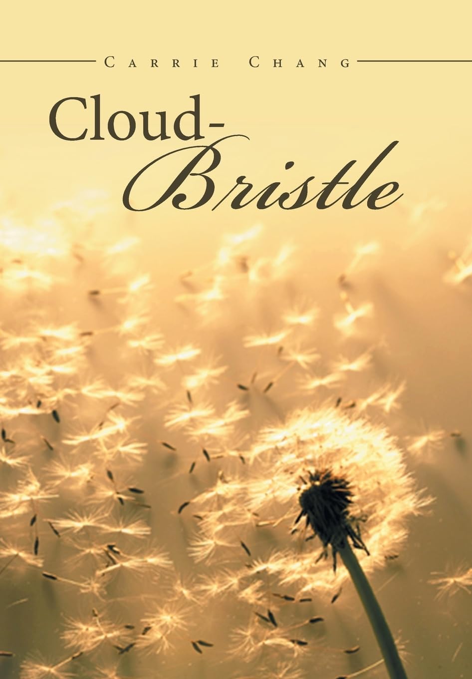Cloud-Bristle